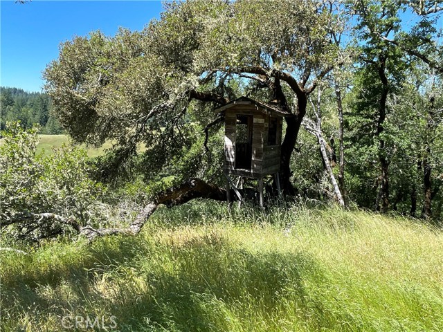 12760 Green Valley Road, Sebastopol CA: https://media.crmls.org/medias/e29b1793-f3e5-43c2-b7b4-06016d6f4430.jpg