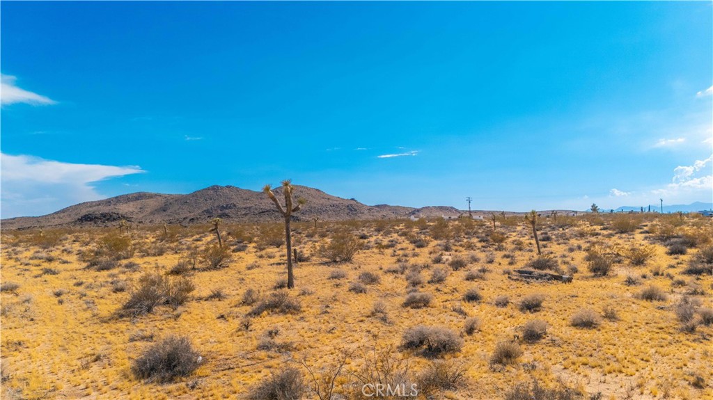 MLS #JT25139661 image #10