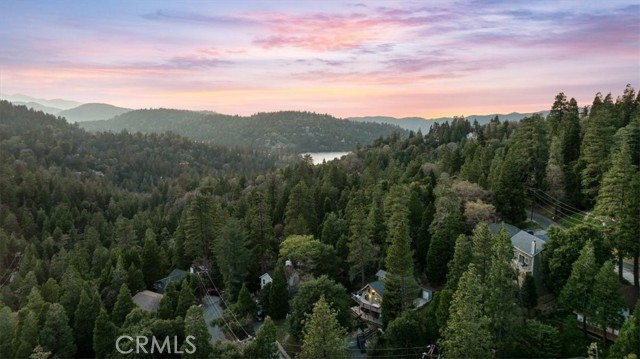 Detail Gallery Image 3 of 35 For 1021 Berne Dr, Crestline,  CA 92325 - 4 Beds | 3 Baths