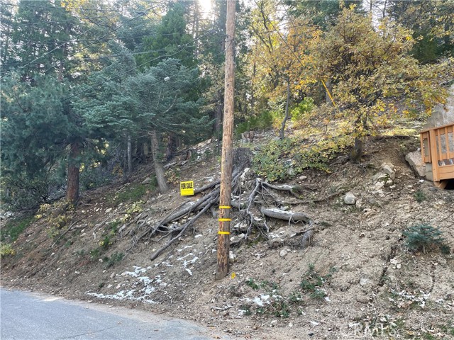 29 Forest, Twin Peaks, CA, 92391 29 Forest, Twin Peaks, CA, 92391