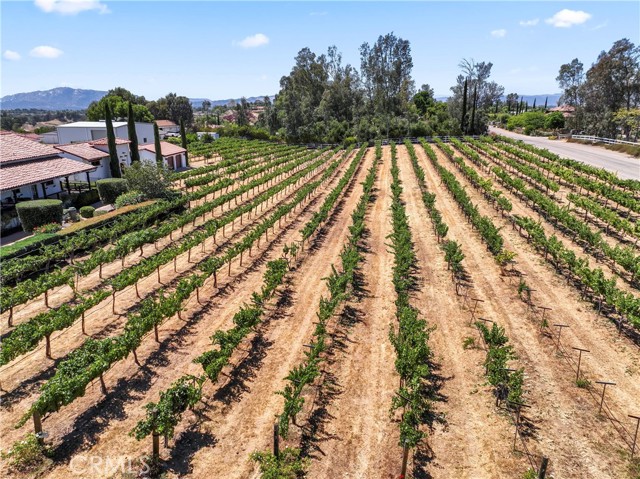 Detail Gallery Image 5 of 35 For 33735 Madera De Playa, Temecula,  CA 92592 - 3 Beds | 2/1 Baths