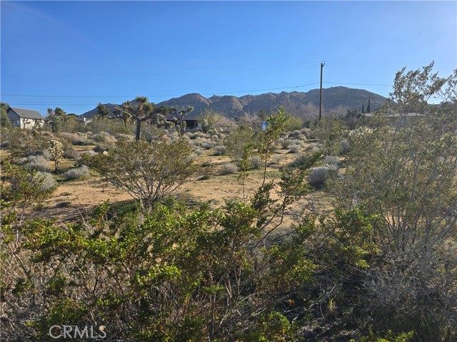 Detail Gallery Image 3 of 8 For 0 Morongo, Twentynine Palms,  CA 92277 - – Beds | – Baths