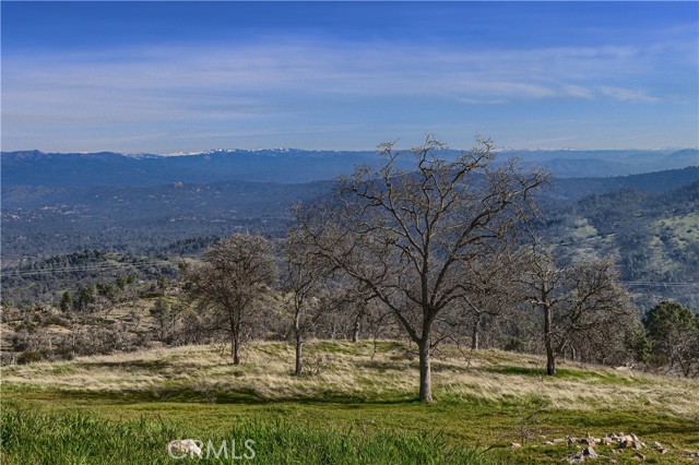 Detail Gallery Image 70 of 75 For 3698 Guadalupe Fire Rd, Catheys Valley,  CA 95306 - 3 Beds | 2 Baths