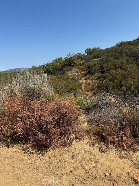 20 Comanche Trail, Anza, California 92539, ,Land,For Sale,20 Comanche Trail,CRSW22245603