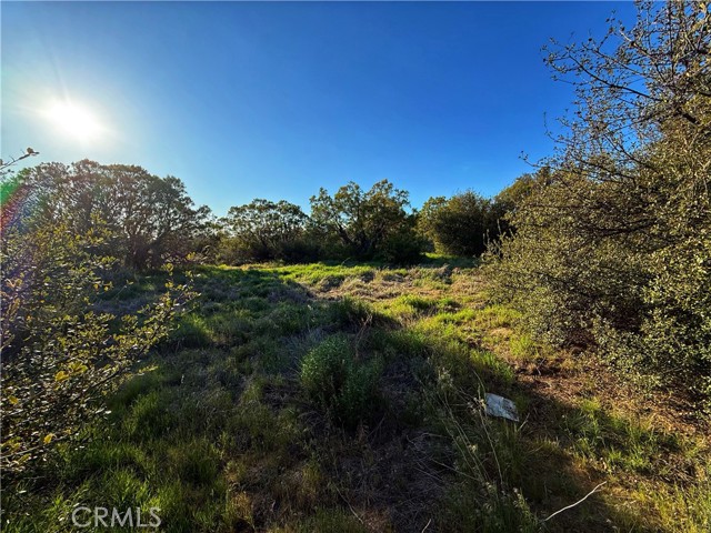 Detail Gallery Image 11 of 20 For 3 Chihuahua Valley Rd, Warner Springs,  CA 92086 - – Beds | – Baths