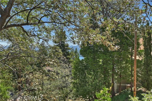 Detail Gallery Image 13 of 69 For 273 Shasta Dr, Lake Arrowhead,  CA 92317 - 5 Beds | 5 Baths