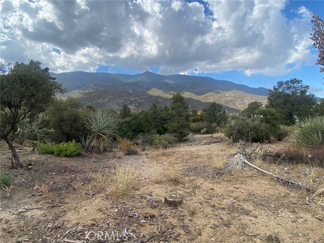 Detail Gallery Image 21 of 40 For 63920 Mountain Center, Mountain Center,  CA 92561 - 1 Beds | 1 Baths