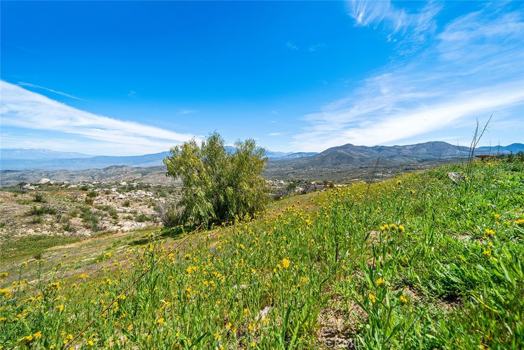 MLS #SW25198130 image #39