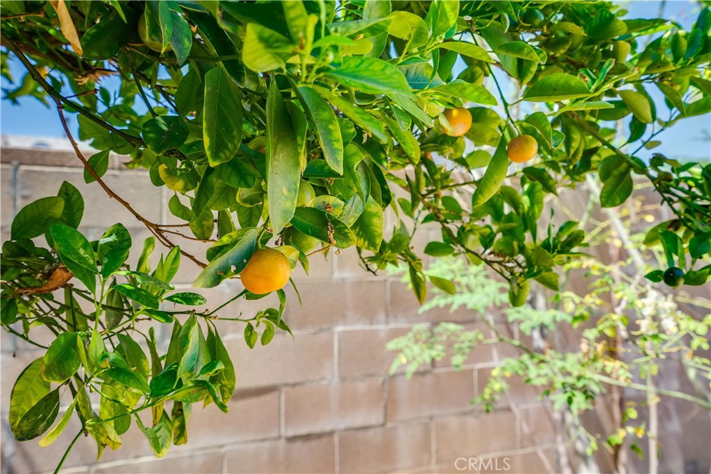 https://media.crmls.org/medias/e2c9a439-c093-4b86-9f1d-236a17ded6f3.jpg?preset=X-Large