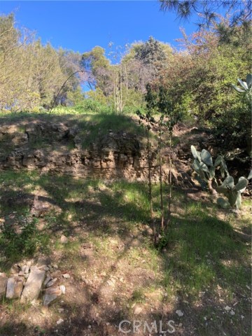 Detail Gallery Image 34 of 37 For 3633 Lavell Dr, Los Angeles,  CA 90065 - 1 Beds | 1 Baths