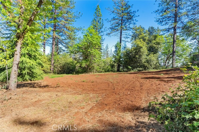 Detail Gallery Image 27 of 63 For 12583 Doe Mill Rd, Forest Ranch,  CA 95942 - 2 Beds | 2 Baths