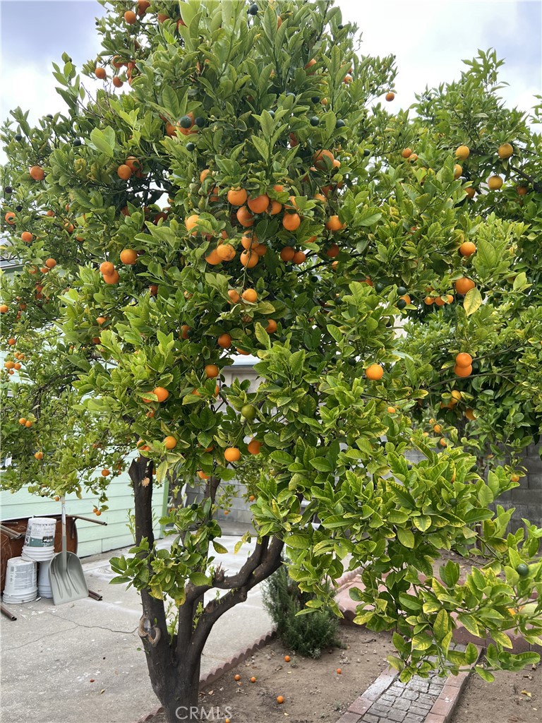 https://media.crmls.org/medias/e2d64cf3-19bf-48a5-9a23-3808903fe1c3.jpg?preset=X-Large