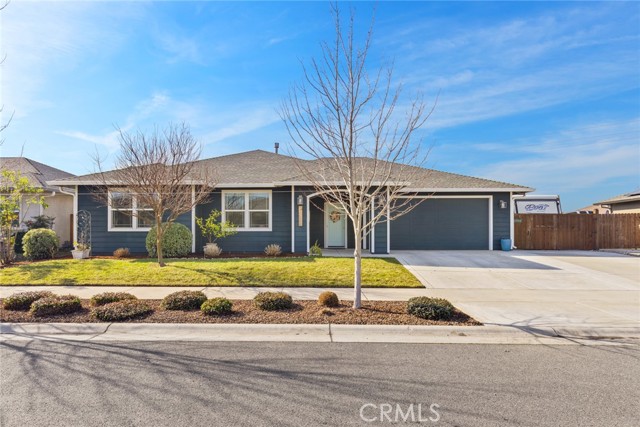 Front Image Thumbnail for CRSN26028618