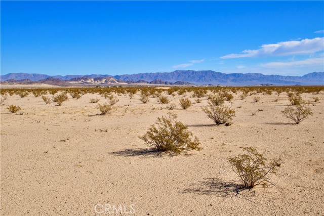 Detail Gallery Image 5 of 20 For 40 Lot 40 Amboy Rd, Twentynine Palms,  CA 92277 - – Beds | – Baths