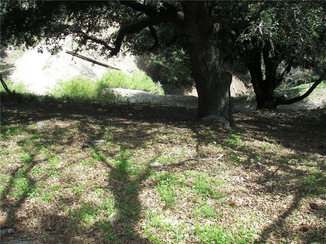 Detail Gallery Image 32 of 39 For 21524 Crest Forest Dr, Cedarpines Park,  CA 92322 - 2 Beds | 1 Baths