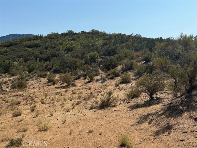 20 Comanche Trail, Anza, California 92539, ,Land,For Sale,20 Comanche Trail,CRSW22245603