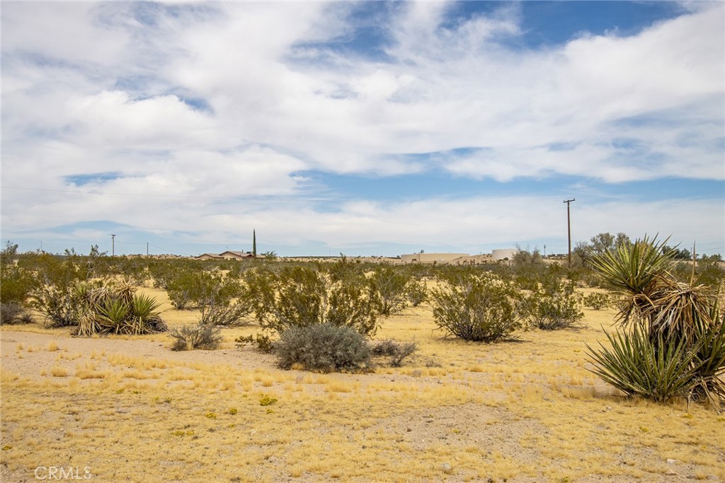 MLS #JT25261609 image #11