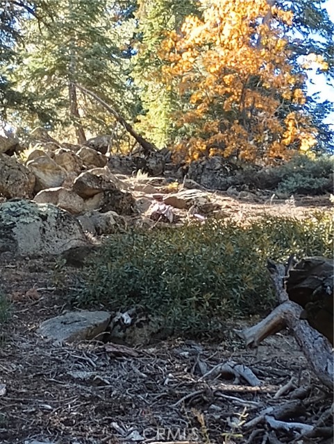 0 Cherry, Big Bear Lake, CA, 92315 0 Cherry, Big Bear Lake, CA, 92315