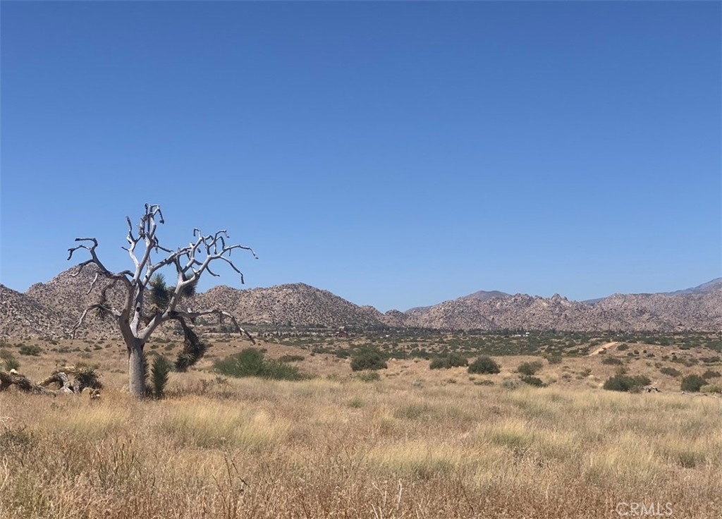 MLS #SW25164124 image #4