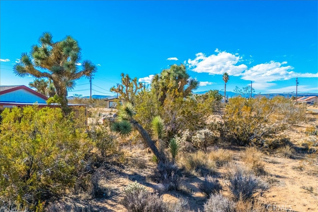 MLS #JT25260837 image #21