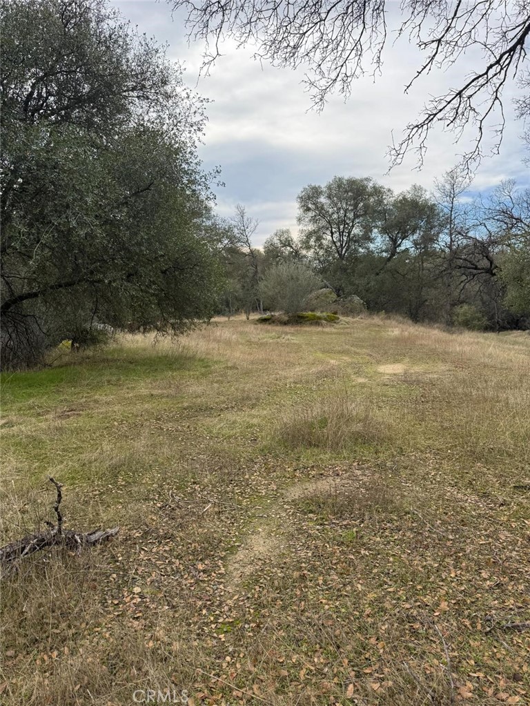 MLS #FR25031326 image #4