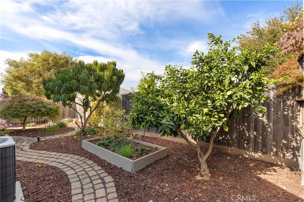 MLS #SN25247436 image #28