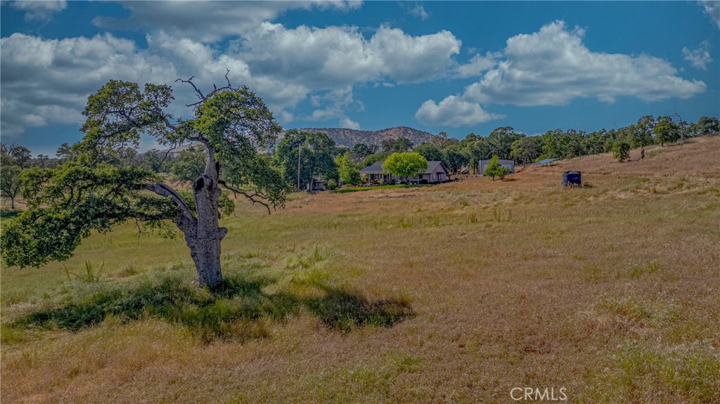 https://media.crmls.org/medias/e30f21f0-85ea-4194-8fce-ad2d39945401.jpg?preset=X-Large