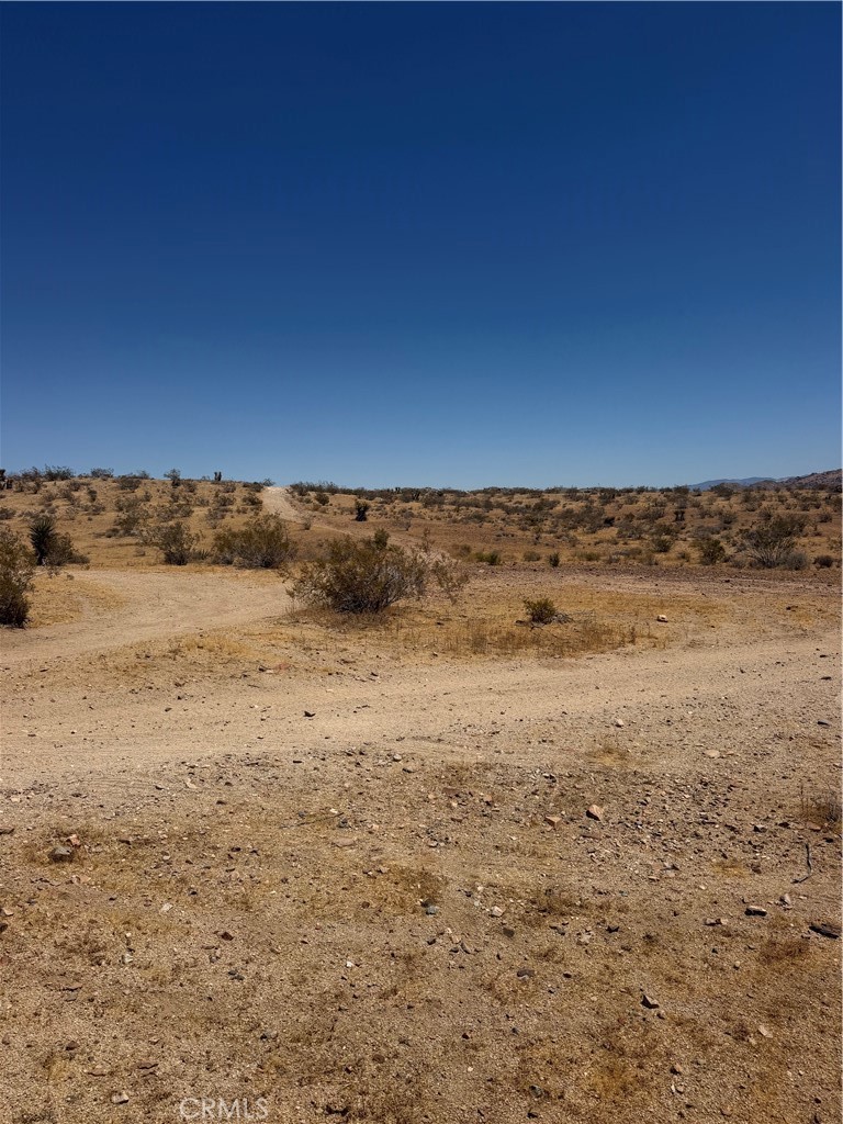 MLS #HD26168976 image #5