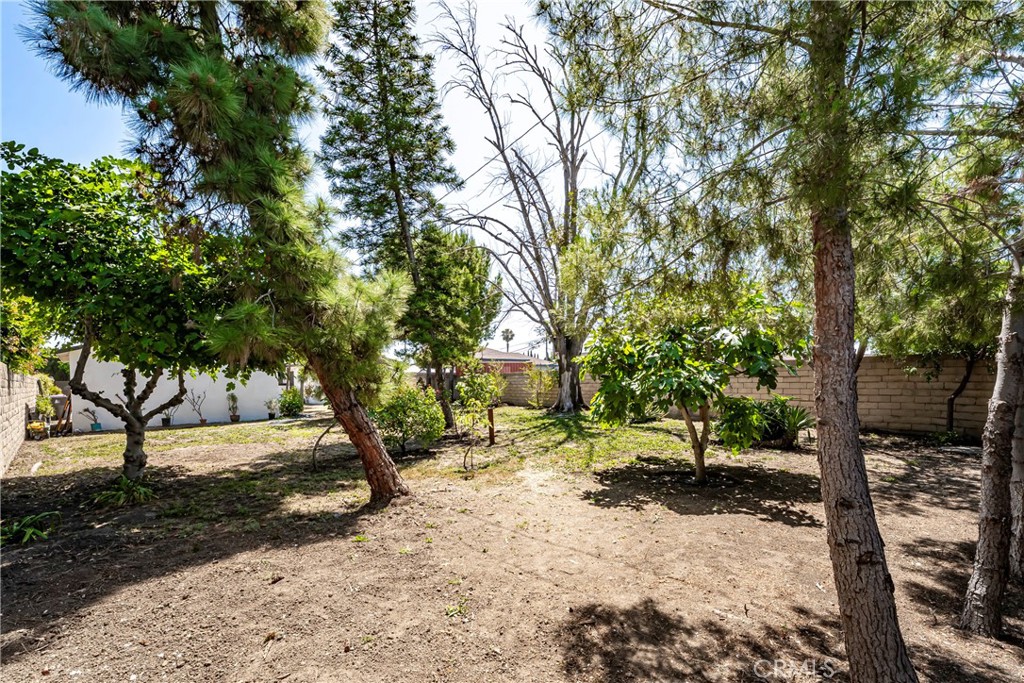 https://media.crmls.org/medias/e316236b-b0cb-4a88-ba3d-4dede471d7dd.jpg?preset=X-Large