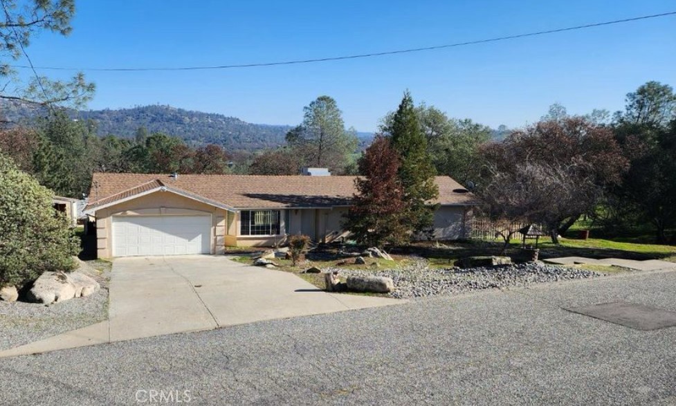 42445 Deep Forest Drive