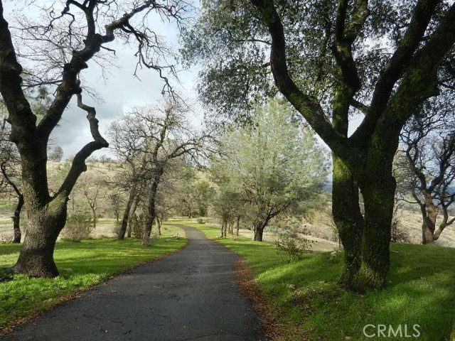 Detail Gallery Image 71 of 75 For 3698 Guadalupe Fire Rd, Catheys Valley,  CA 95306 - 3 Beds | 2 Baths
