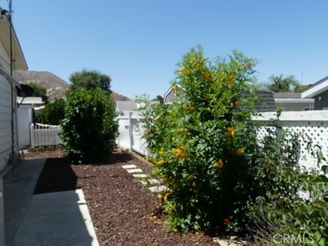 Backyard with Citrus Trees
