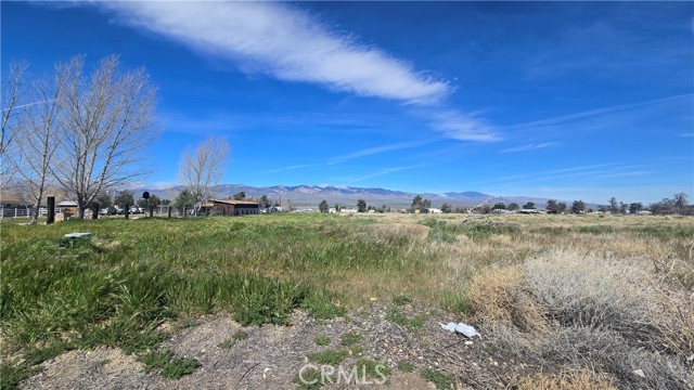 Detail Gallery Image 9 of 27 For 0 Lancaster Rd/Hwy 138 Vic 284th St W, –,  CA 93536 - – Beds | – Baths