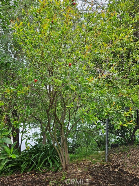 Detail Gallery Image 42 of 48 For 26349 Hillcrest Ave, Lomita,  CA 90717 - 5 Beds | 2 Baths