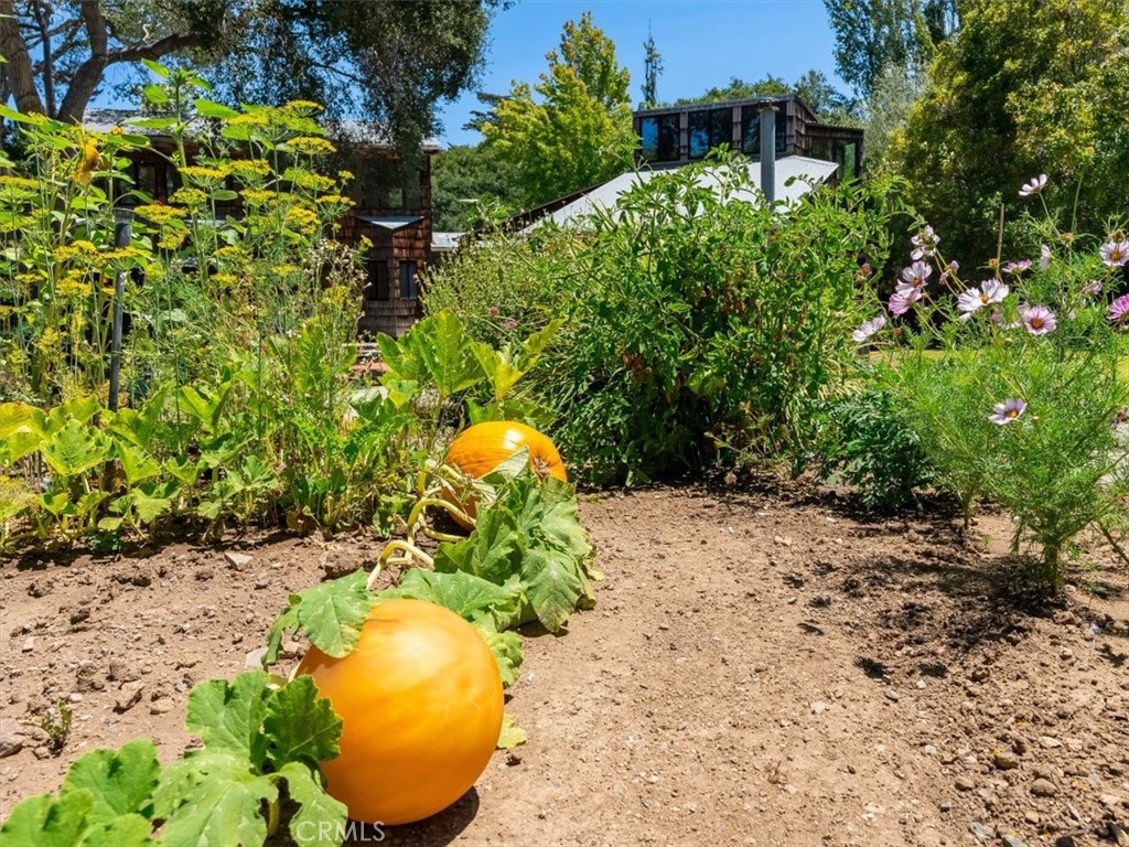 https://media.crmls.org/medias/e3219f01-41b1-4a12-995d-d2bf5544cb13.jpg?preset=X-Large