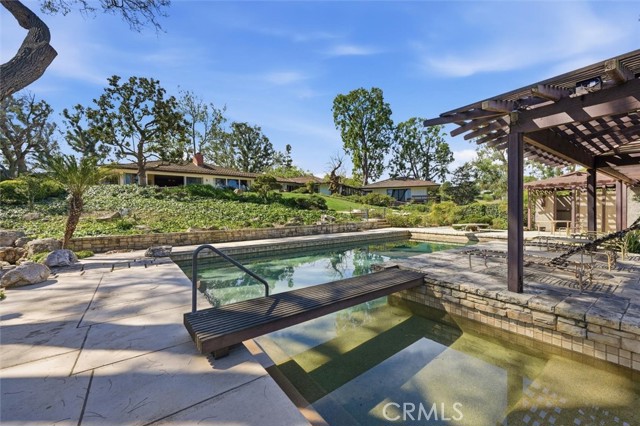 Image 51 of 66 For 100 Saddleback