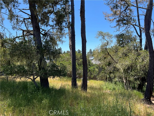 Detail Gallery Image 2 of 10 For 0 Alban Pl, Cambria,  CA 93428 - – Beds | – Baths