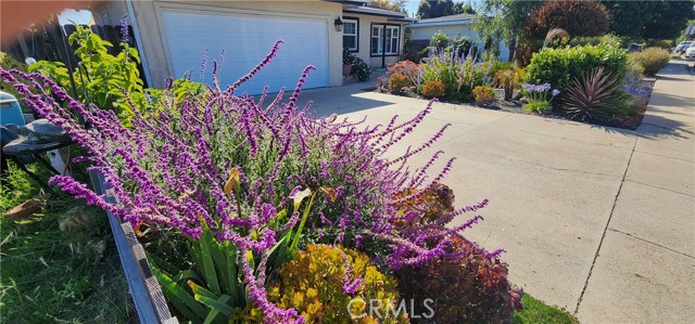 532 Arroyo Avenue, Arroyo Grande CA: https://media.crmls.org/medias/e32f0266-d44c-4ad7-acbe-381a6f04e2d5.jpg