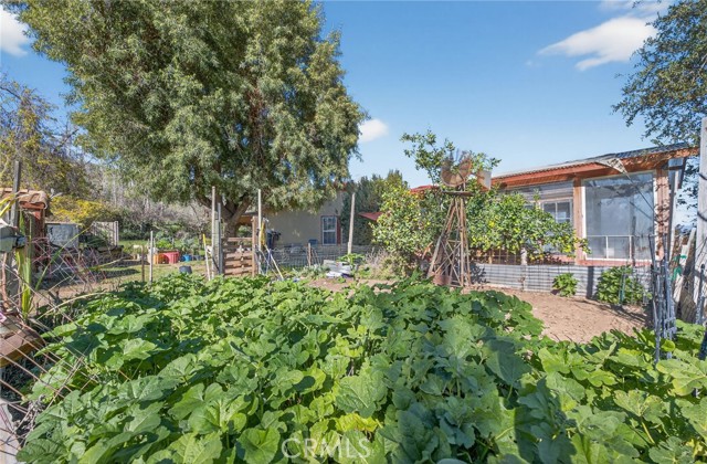 Image 37 of 75 For 31420 Palm Avenue