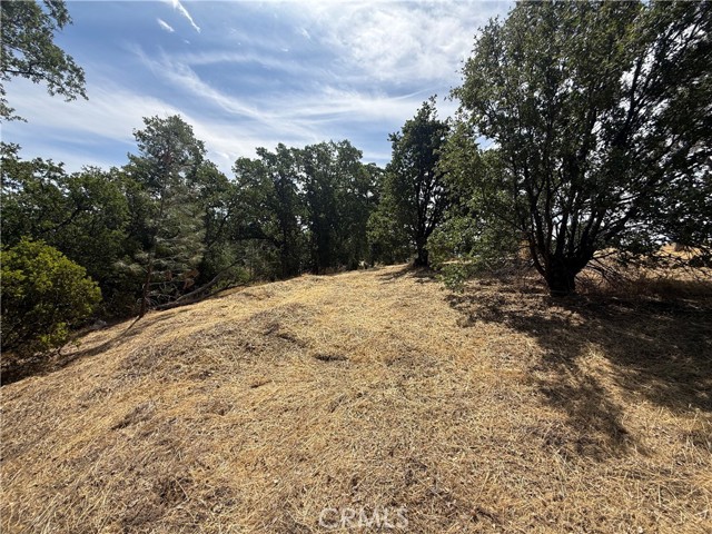 Detail Gallery Image 6 of 6 For 16318 Longhorn Ln, Corning,  CA 96021 - – Beds | – Baths