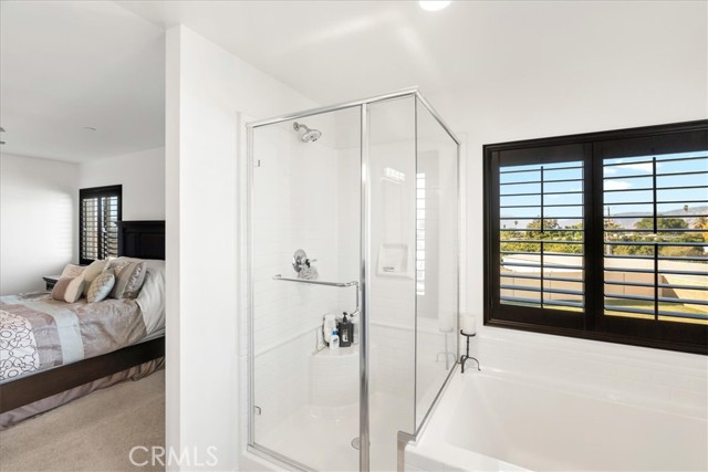 Primary Bedroom separate shower and Tub.