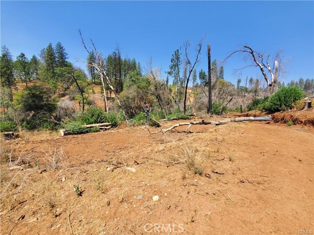 Front Image Thumbnail for CRSN25082570