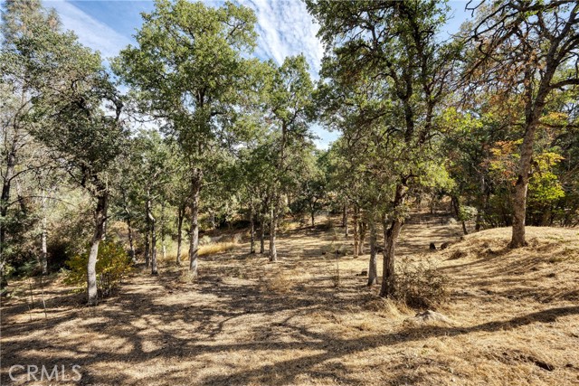 15358 Pacific Street, Clearlake, California 95422, ,Land,For Sale,15358 Pacific Street,CRLC23176279