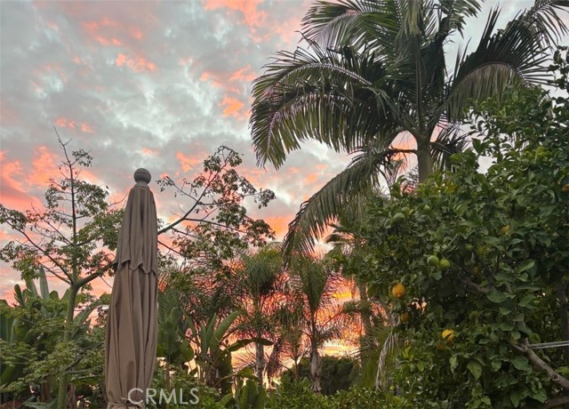 Detail Gallery Image 39 of 63 For 1321 Pepper Tree Ln, Vista,  CA 92084 - 4 Beds | 3 Baths