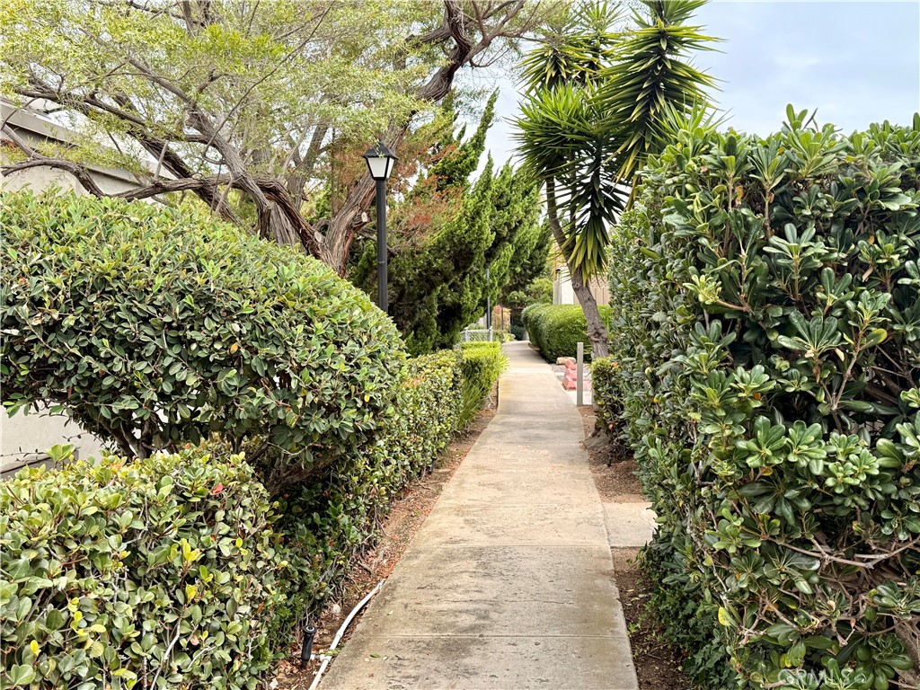 https://media.crmls.org/medias/e3571b84-970c-4e1c-abab-a57ab2e96a40.jpg?preset=X-Large
