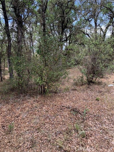 16288 12th, Clearlake, CA, 95422 16288 12th, Clearlake, CA, 95422
