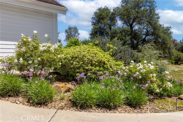 Detail Gallery Image 67 of 69 For 40485 via Caballos, Murrieta,  CA 92562 - 6 Beds | 5/1 Baths
