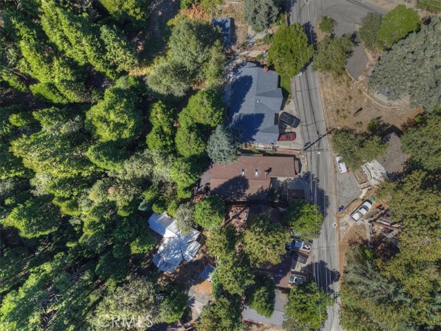 1150 Bear Springs, Rimforest, CA 92378