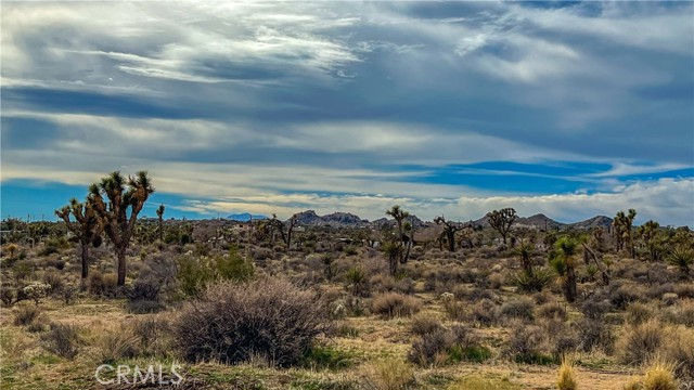 Detail Gallery Image 31 of 32 For 4824 Elata Ave, Yucca Valley,  CA 92284 - – Beds | – Baths