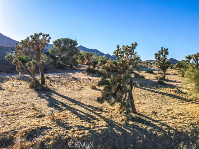 Detail Gallery Image 49 of 56 For 8672 via Rocosa Rd, Joshua Tree,  CA 92252 - 2 Beds | 3 Baths